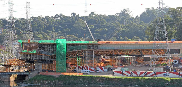 Itapaiuna zubia, São Paulo, Brasil